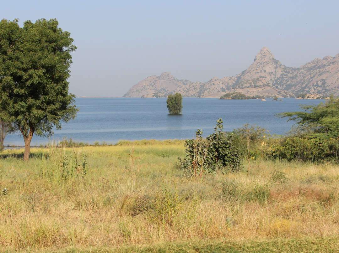 Jawai Dam-Pali必去景点