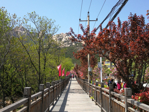 崂山仰口风景区-青岛市必去景点