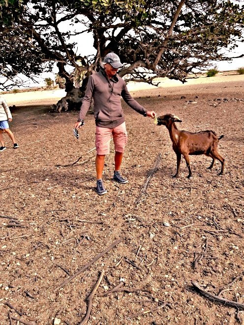 Pier Boa Vista Tours-博阿维斯塔必去景点