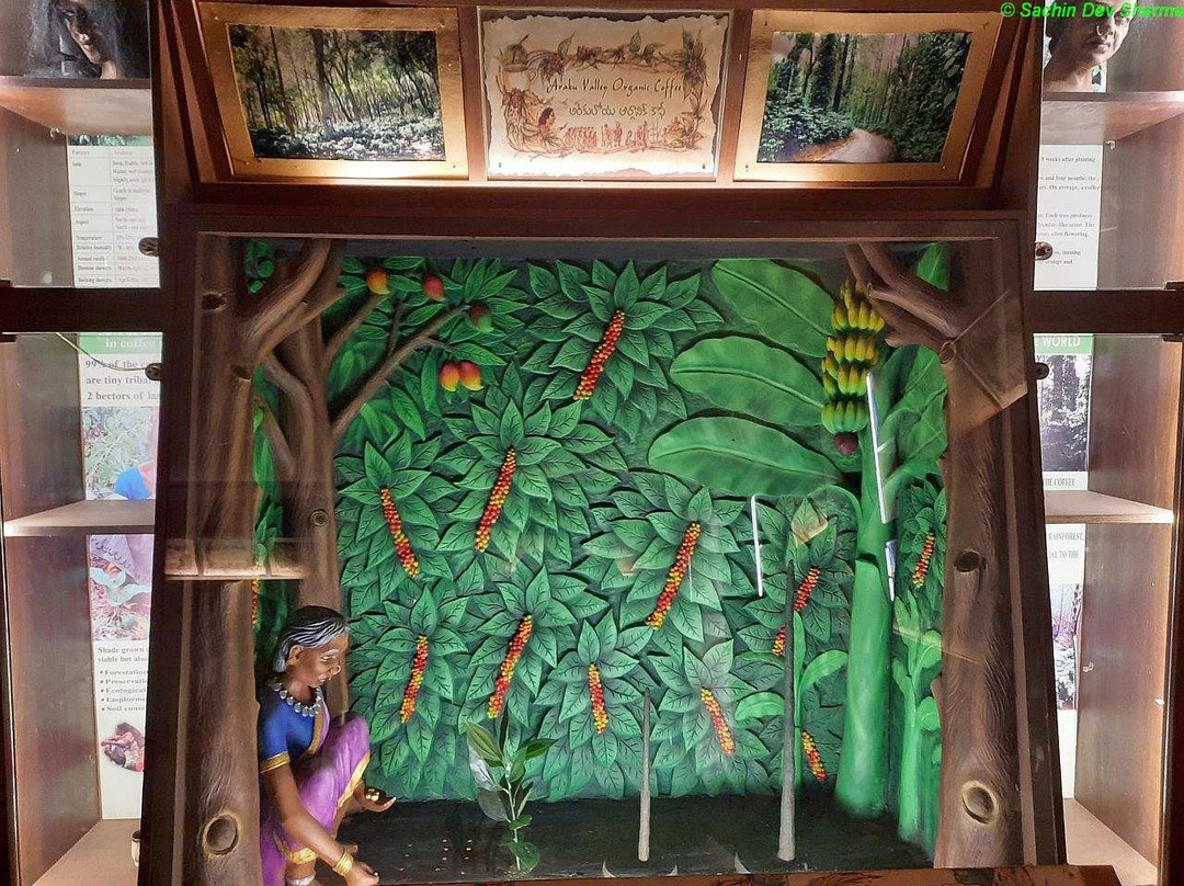 Coffee Museum-Araku Valley必去景点