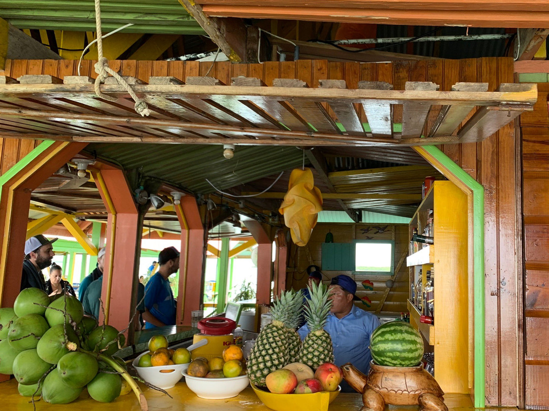 Crawl Cay (Kraal Cay)-博卡斯德尔托罗必去景点