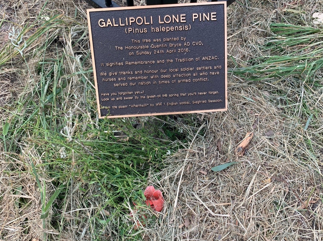 Trumpeters' Corner-Jandowae必去景点