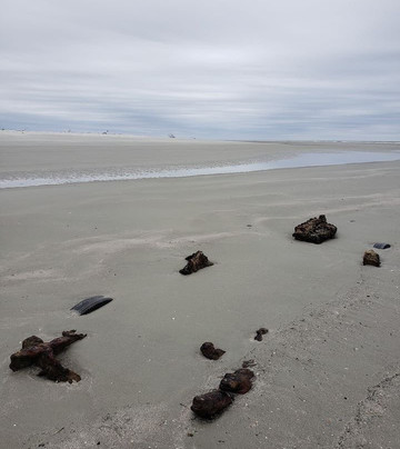 Glass Bottom Kayak Tours-美特尔海滩必去景点