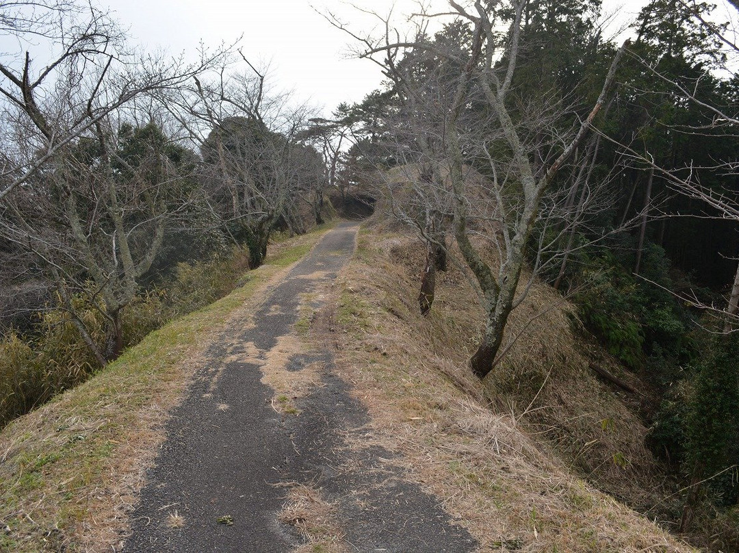 Yokoji Castle Ruins-菊川市必去景点