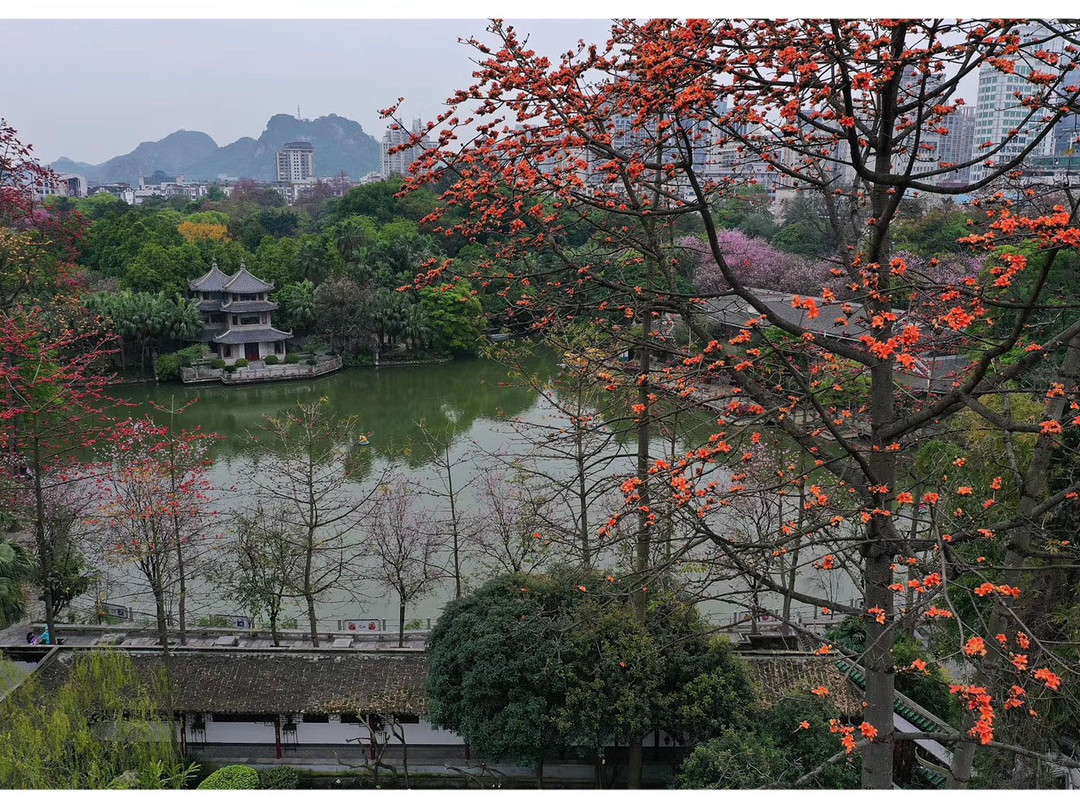柳侯公园-柳州市必去景点