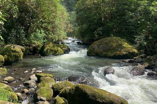 IBANA Colombia-佩雷拉必去景点