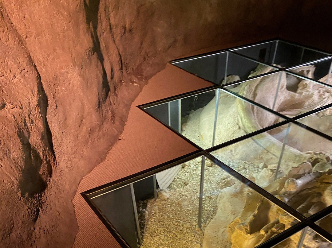 Mayborn Museum Complex-韦科必去景点