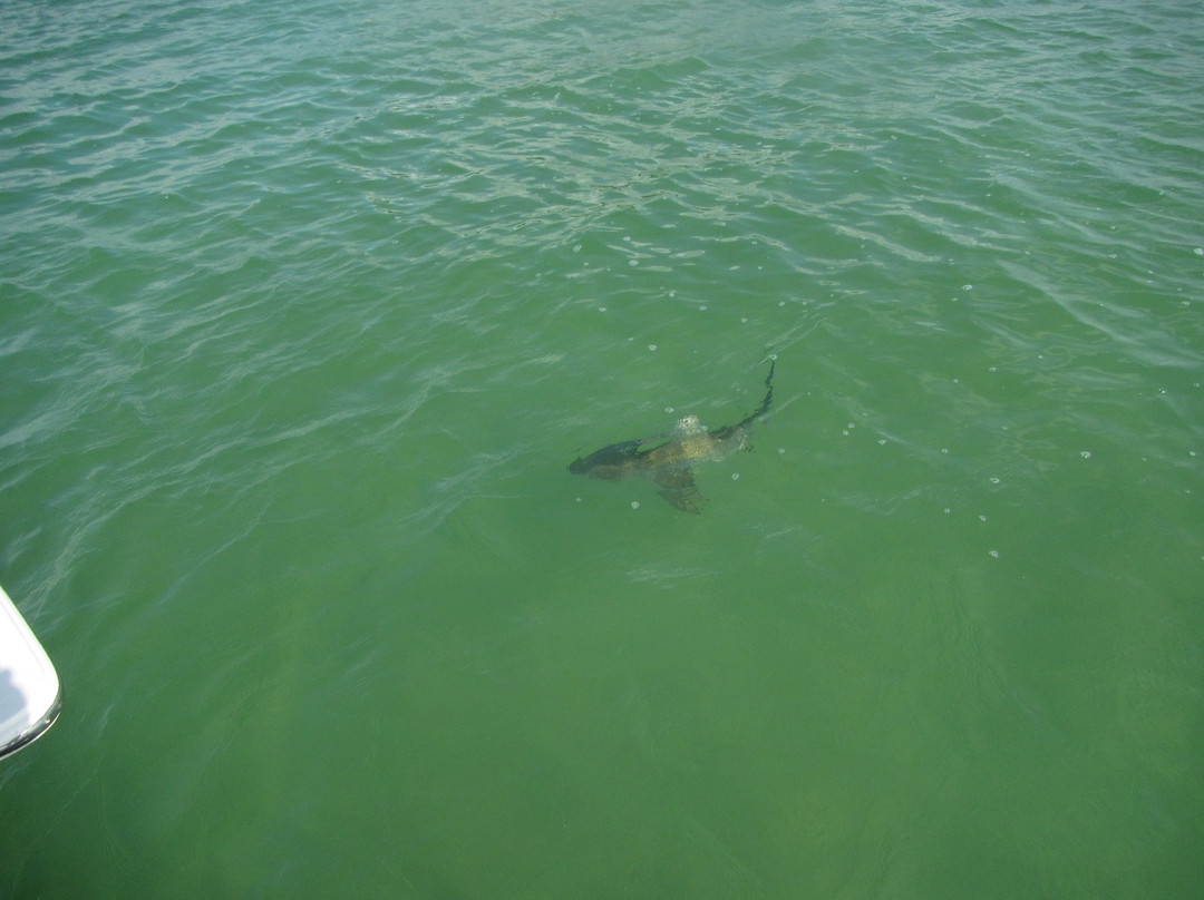 Bonefish Bradley Fishing Chartes-Andros必去景点