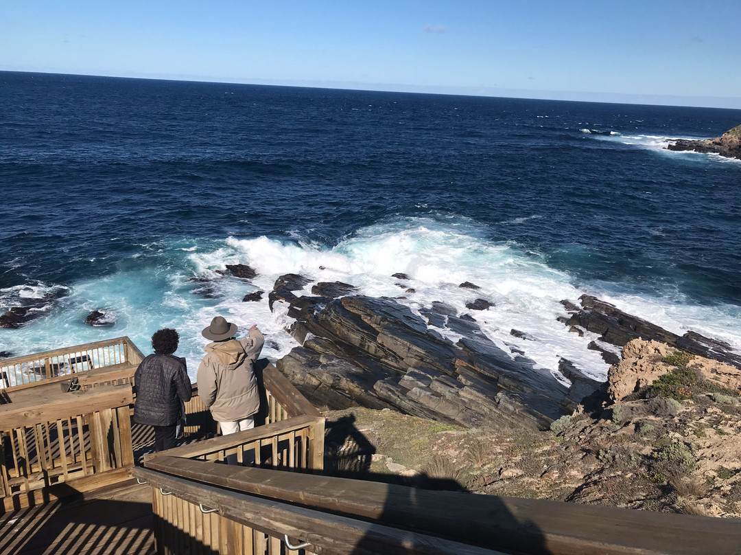 Kangaroo Island Wilderness Tours-袋鼠岛必去景点