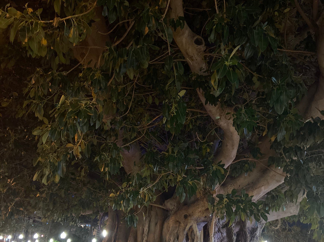 Rambla Méndez Núñez景点图片
