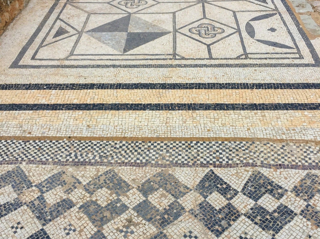 Yacimiento Romano de Clunia景点图片