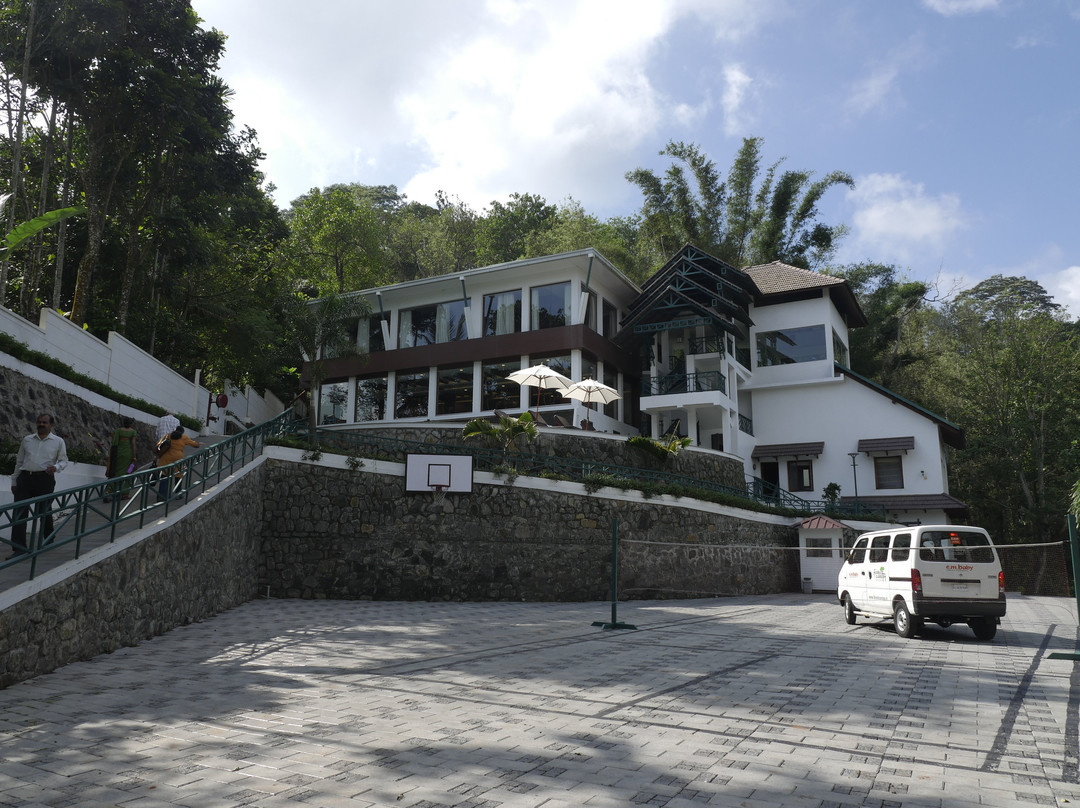 Forest Canopy Thekkady主图