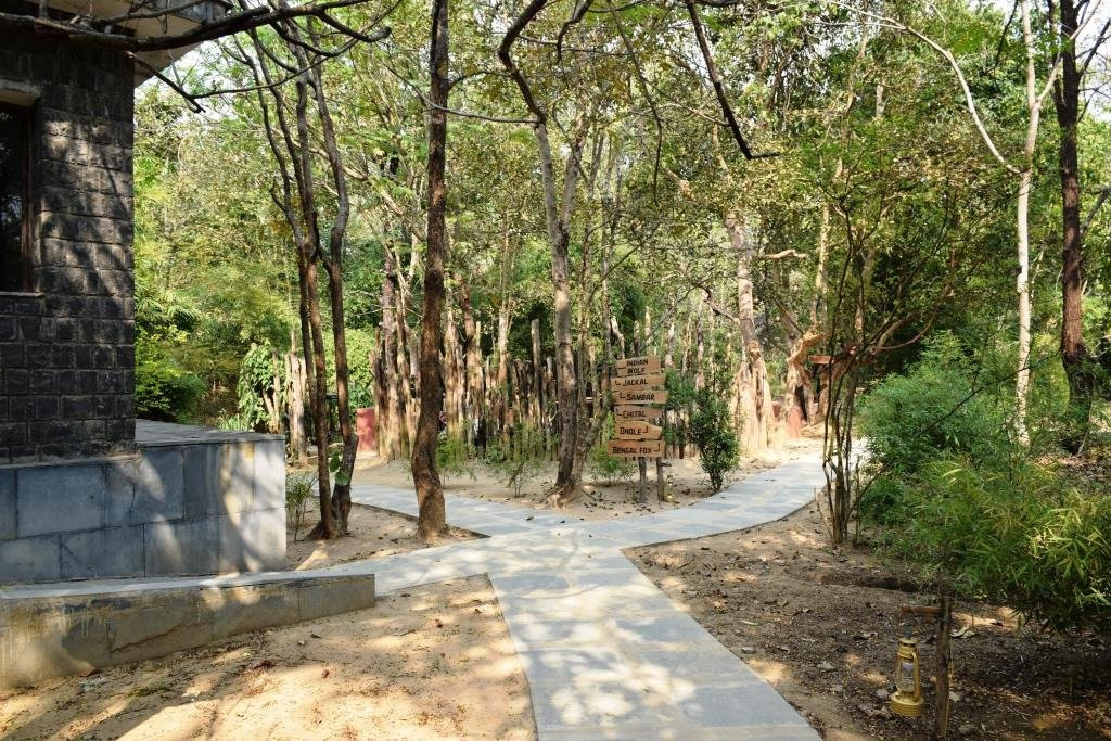 Singinawa Jungle Lodge主图