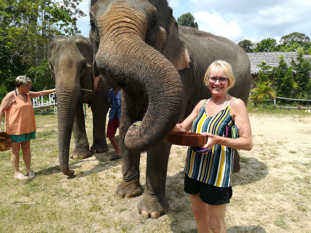 Amazing Elephant Dung Paper-Na Mueang必去景点