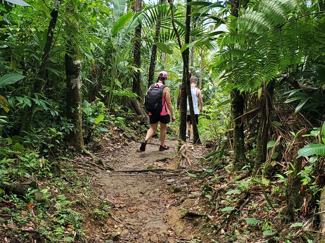 Just Go Dominica-多米尼克必去景点