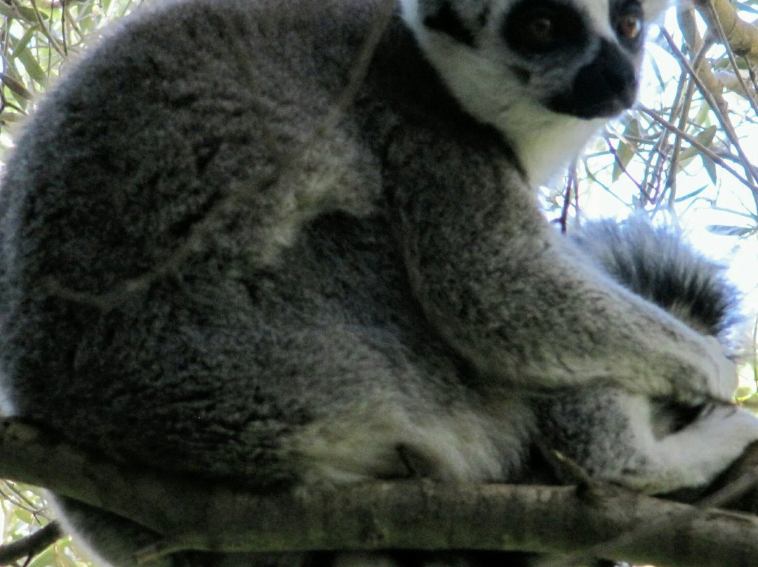Haifa Educational Zoo-Haifa必去景点