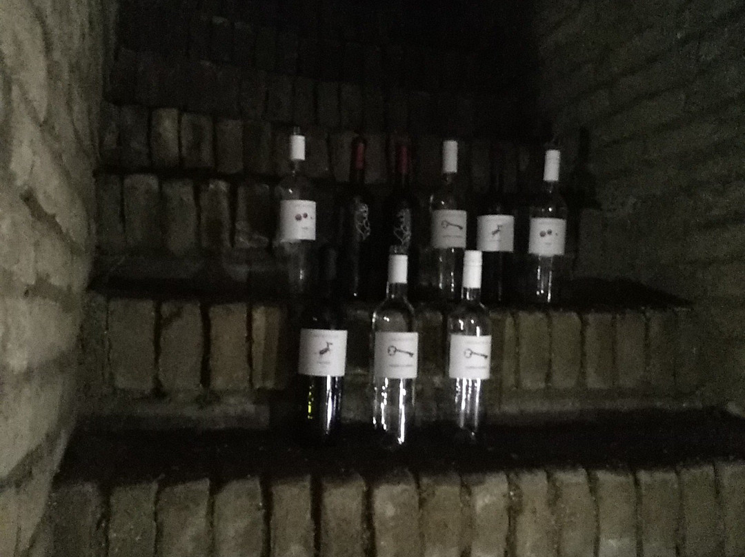 Pincelakat Borhaz es Szalloda主图