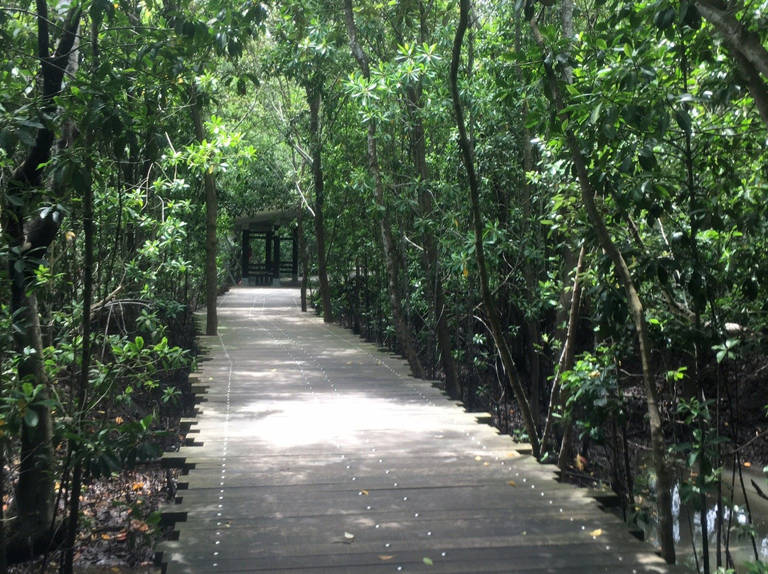 Chek Jawa-乌敏岛必去景点