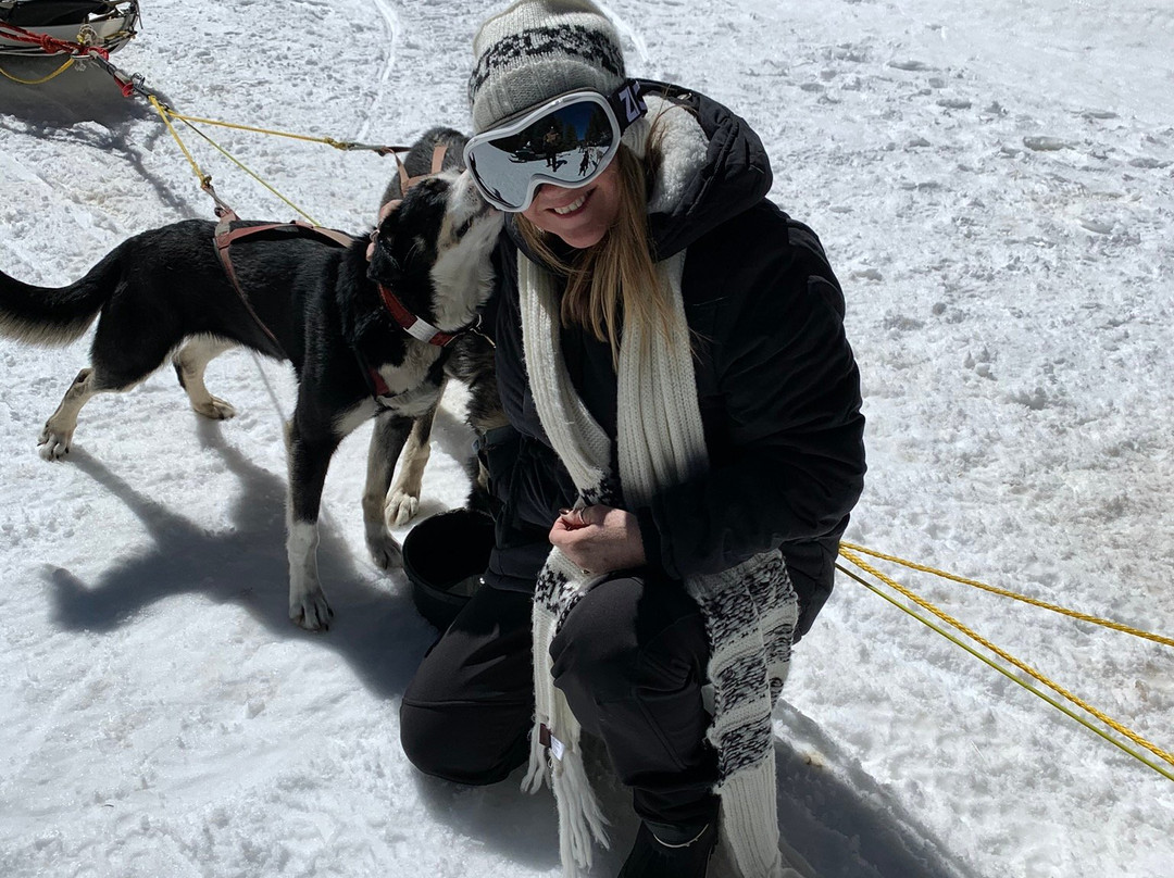 Monarch Dog Sled Rides-Monarch必去景点