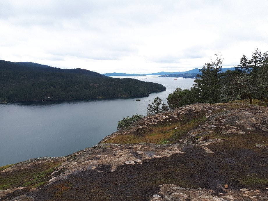 Stoney Hill Regional Park景点图片