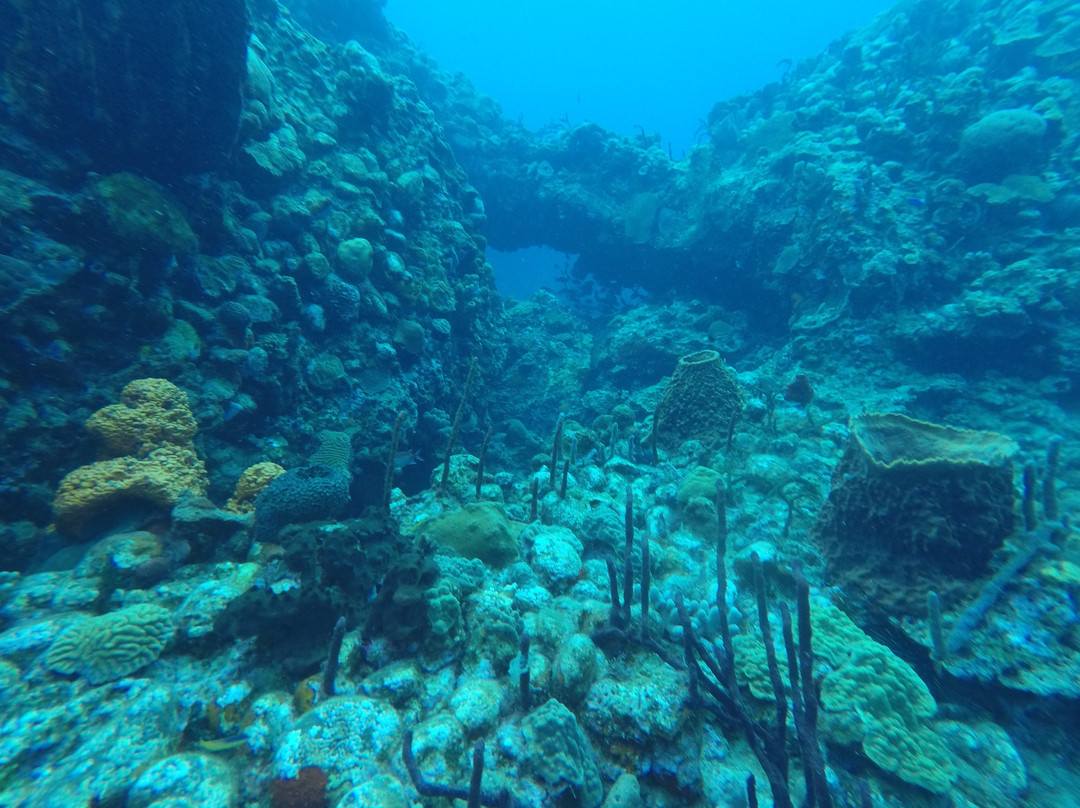 SALT-Toucari必去景点