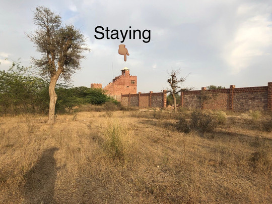 Bhakrasni旅游攻略图片