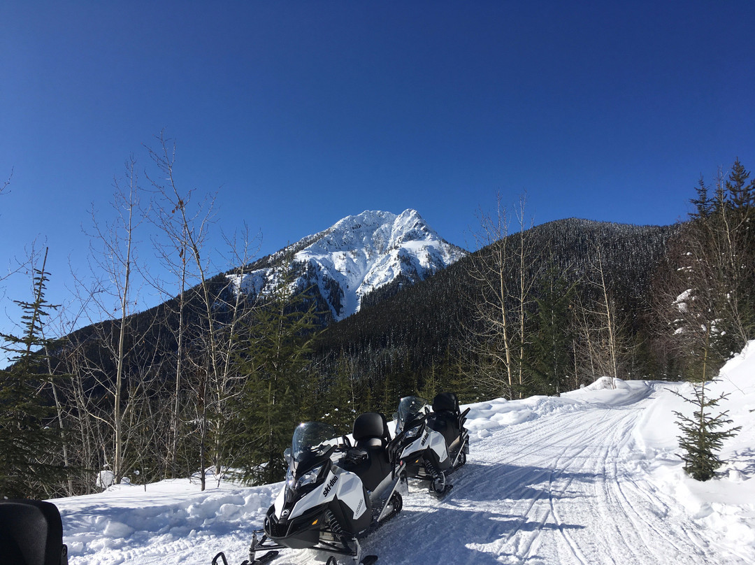 White N’ Wild Snowmobile Tours-戈尔登必去景点