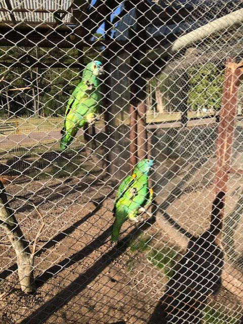 Santa Teresa National Park-Rocha必去景点
