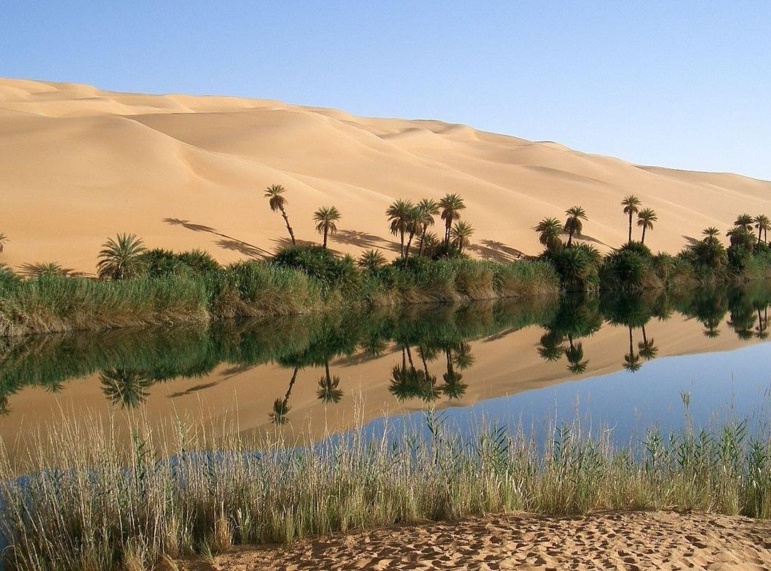 Across Africa Tours LLC-Zarzis必去景点