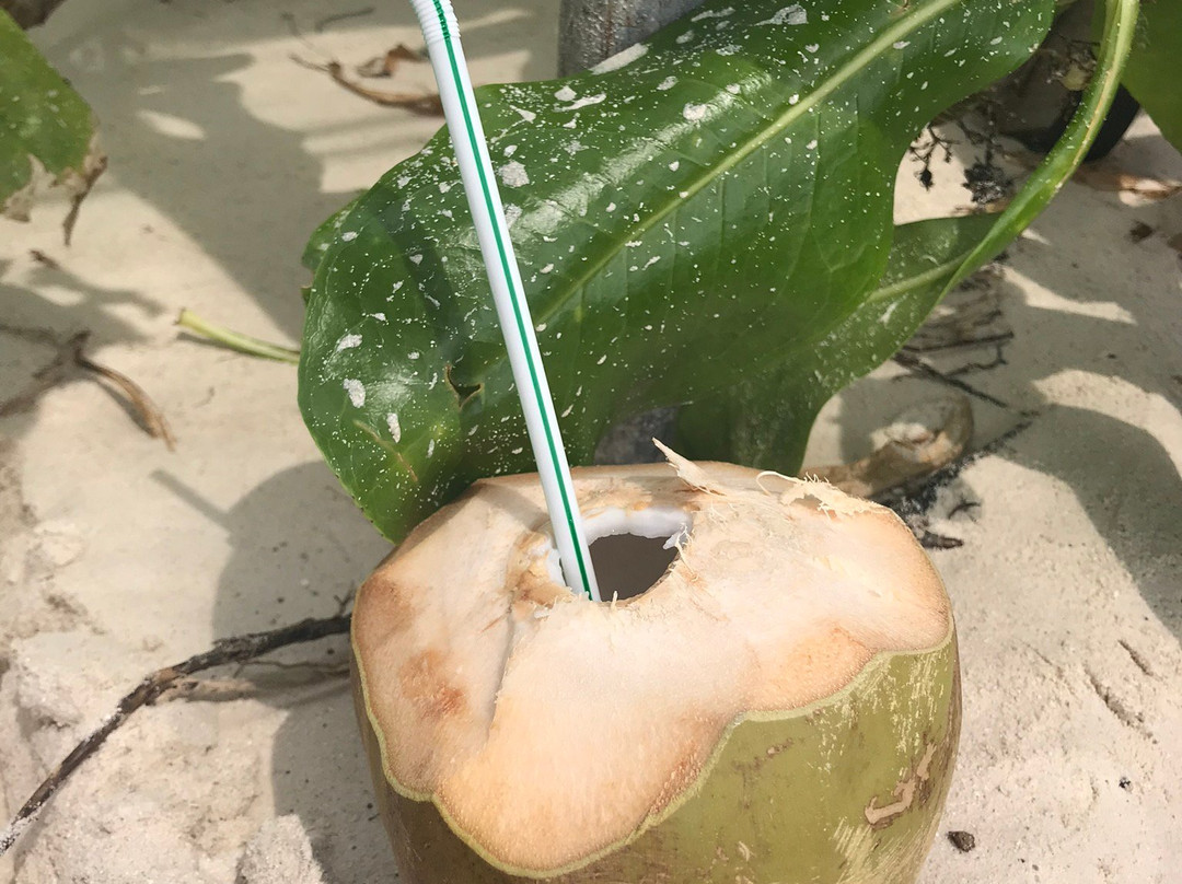 Maldives School of Yoga-Naifaru必去景点