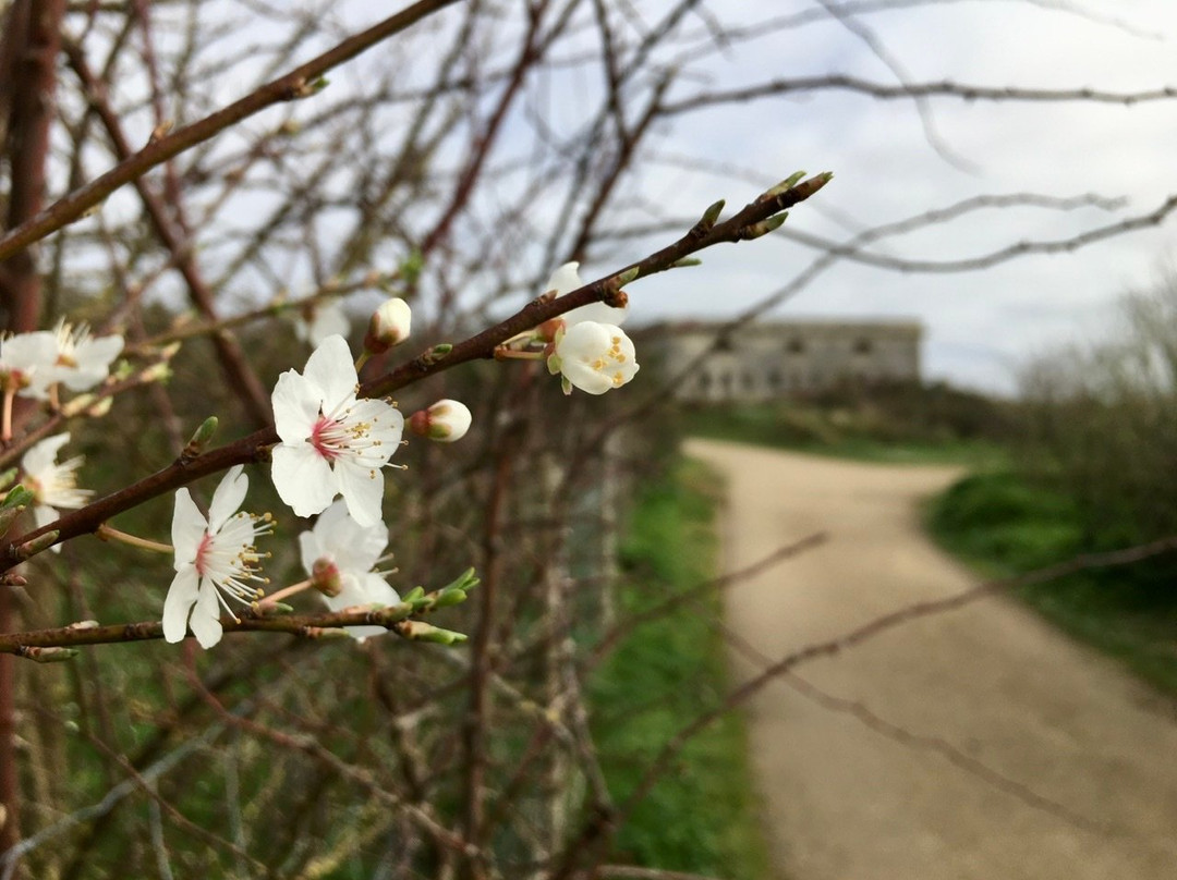 Saint Nazaire sur Charente酒店住宿-La Chaloupe