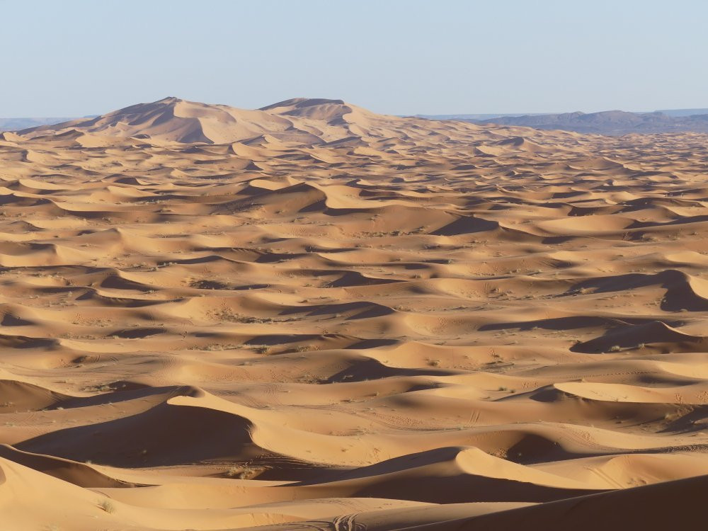 Desert ATV Quad-梅如卡必去景点