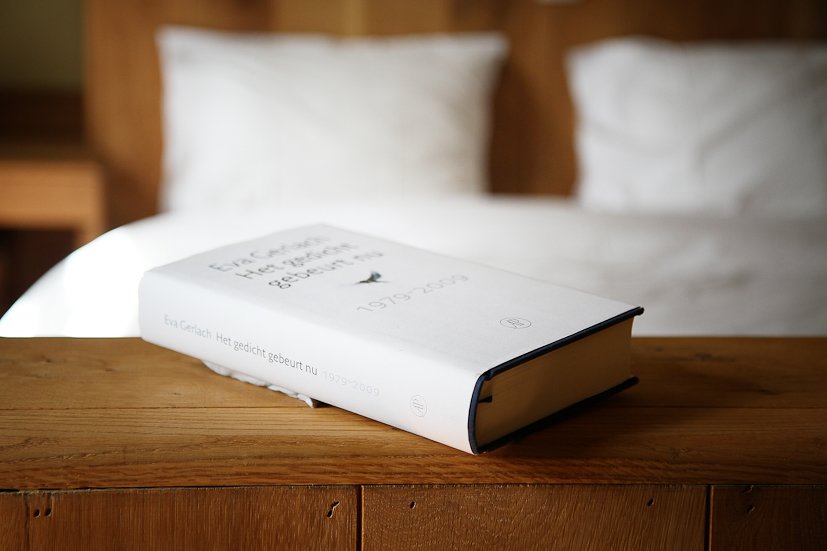 Surplace hotel-官方
