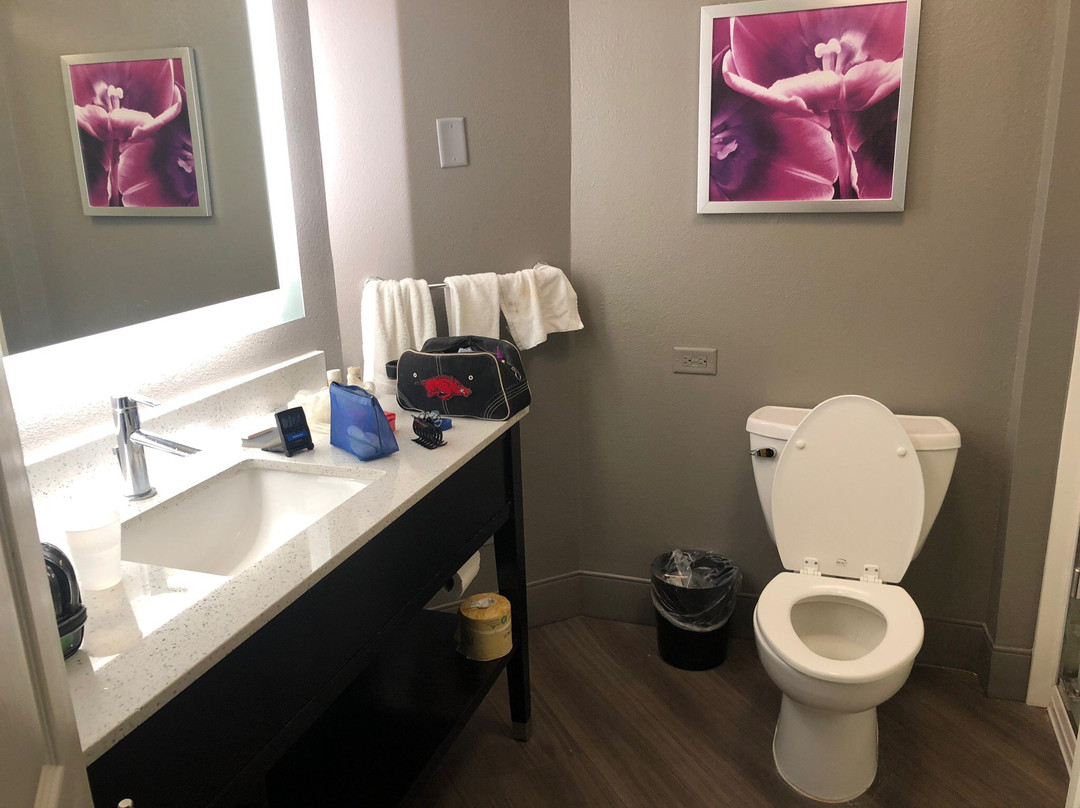 La Quinta Inn & Suites by Wyndham Alexandria Airport主图