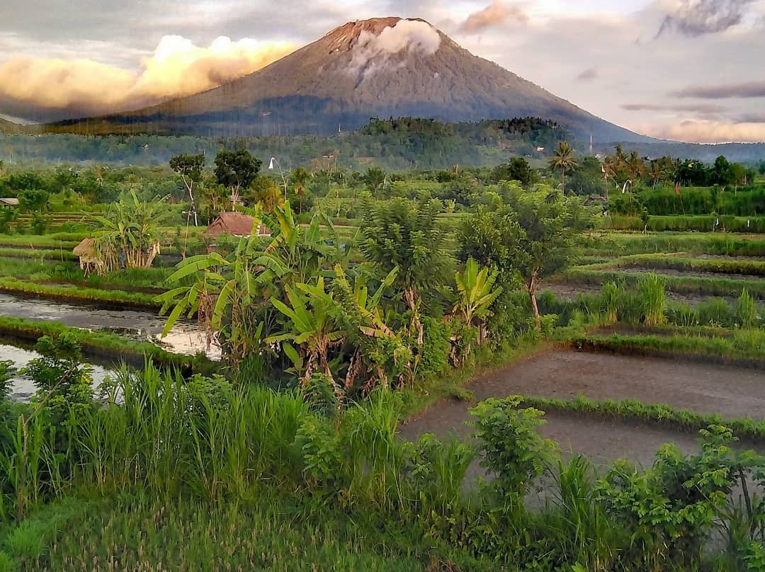 GumiBali Villa主图