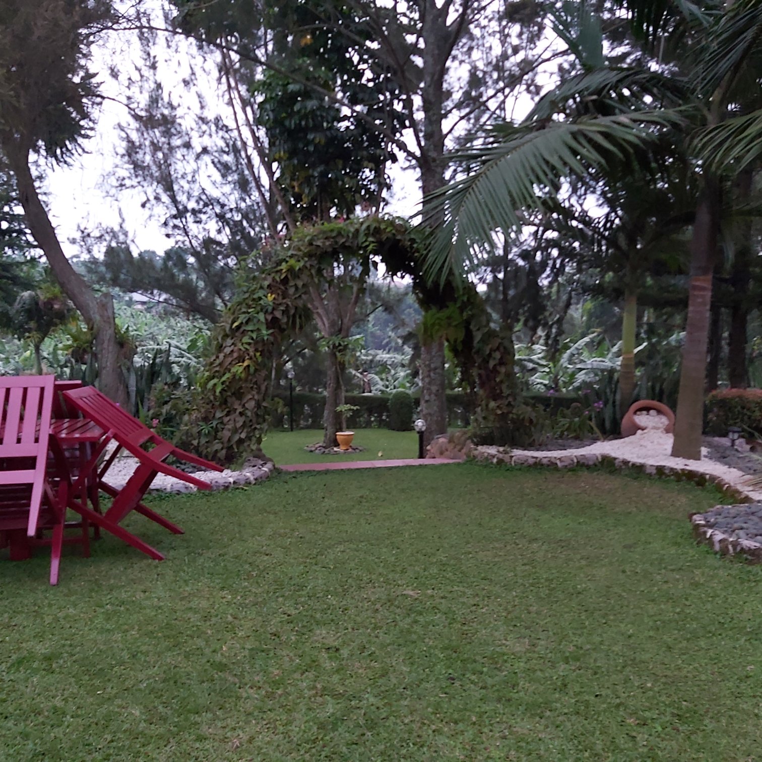 Sheevys Bed and Breakfast-官方