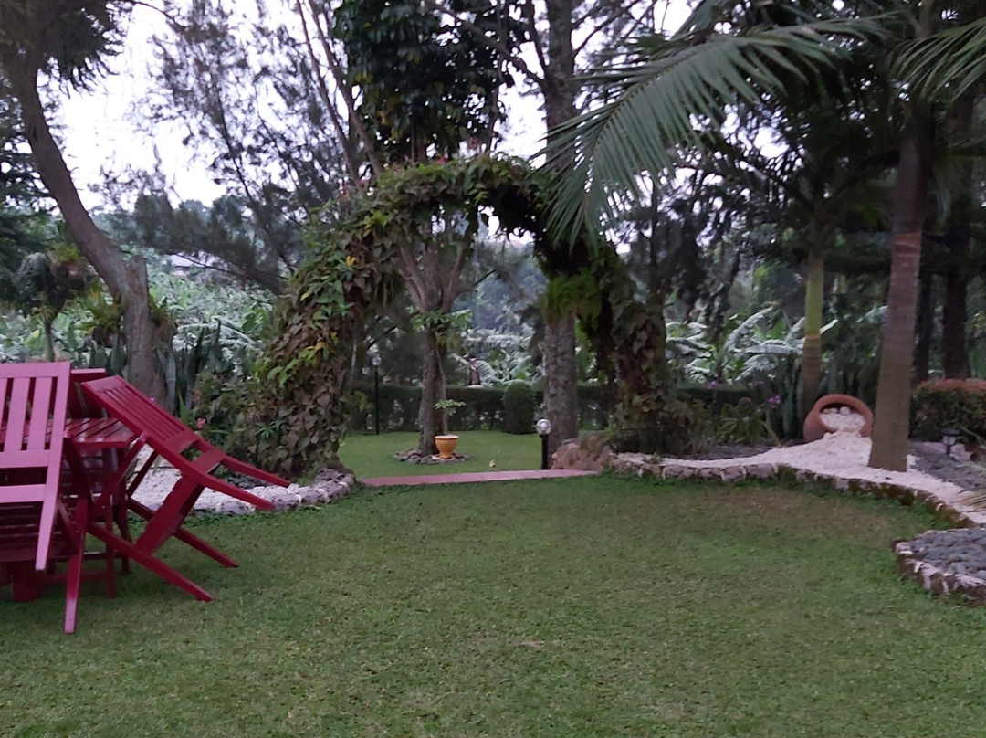 Sheevys Bed and Breakfast主图