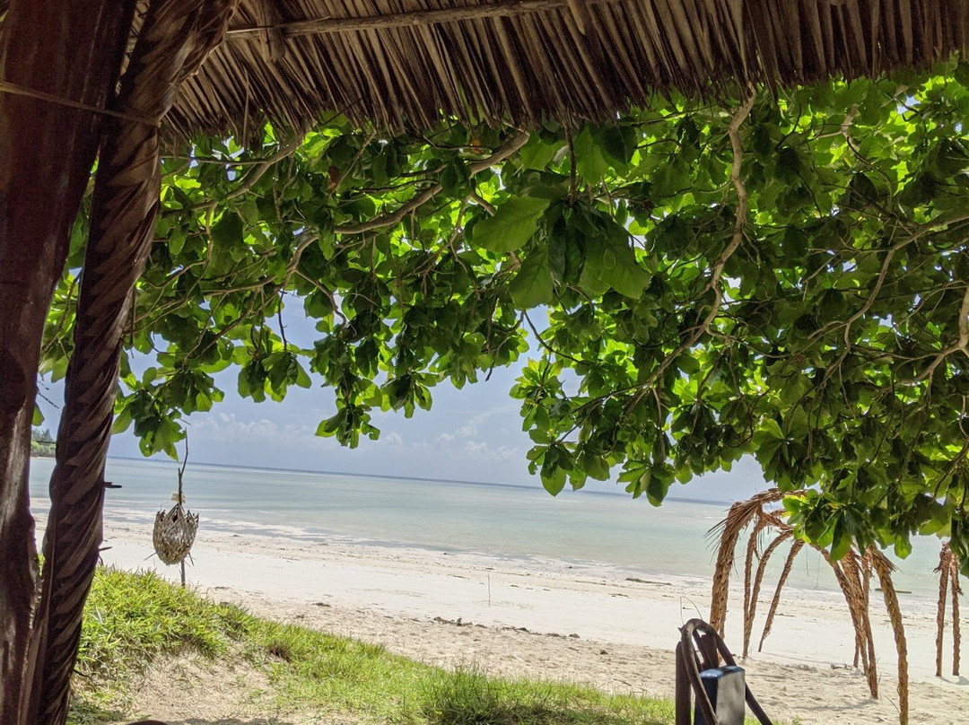 Pemba Eco Lodge主图