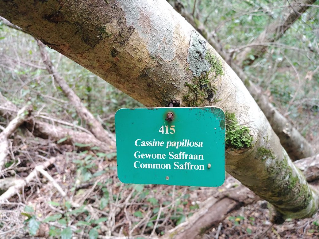 Kranshoek Hiking Trail-哈克城必去景点