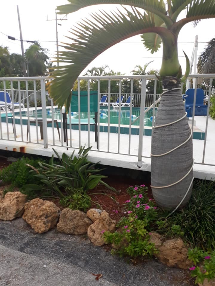 Sea Dell Motel-泳池