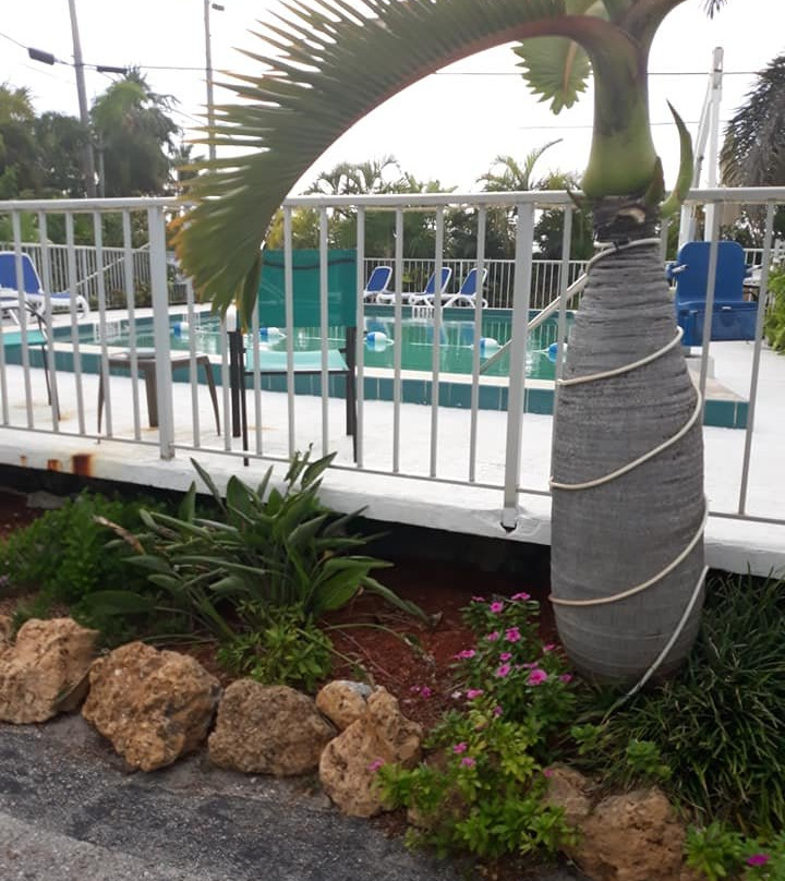 Sea Dell Motel主图