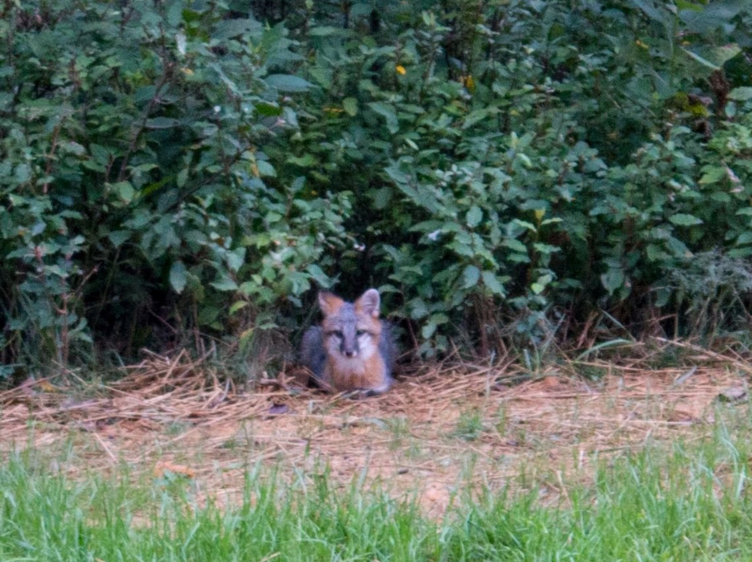 Pipestem Resort State Park主图