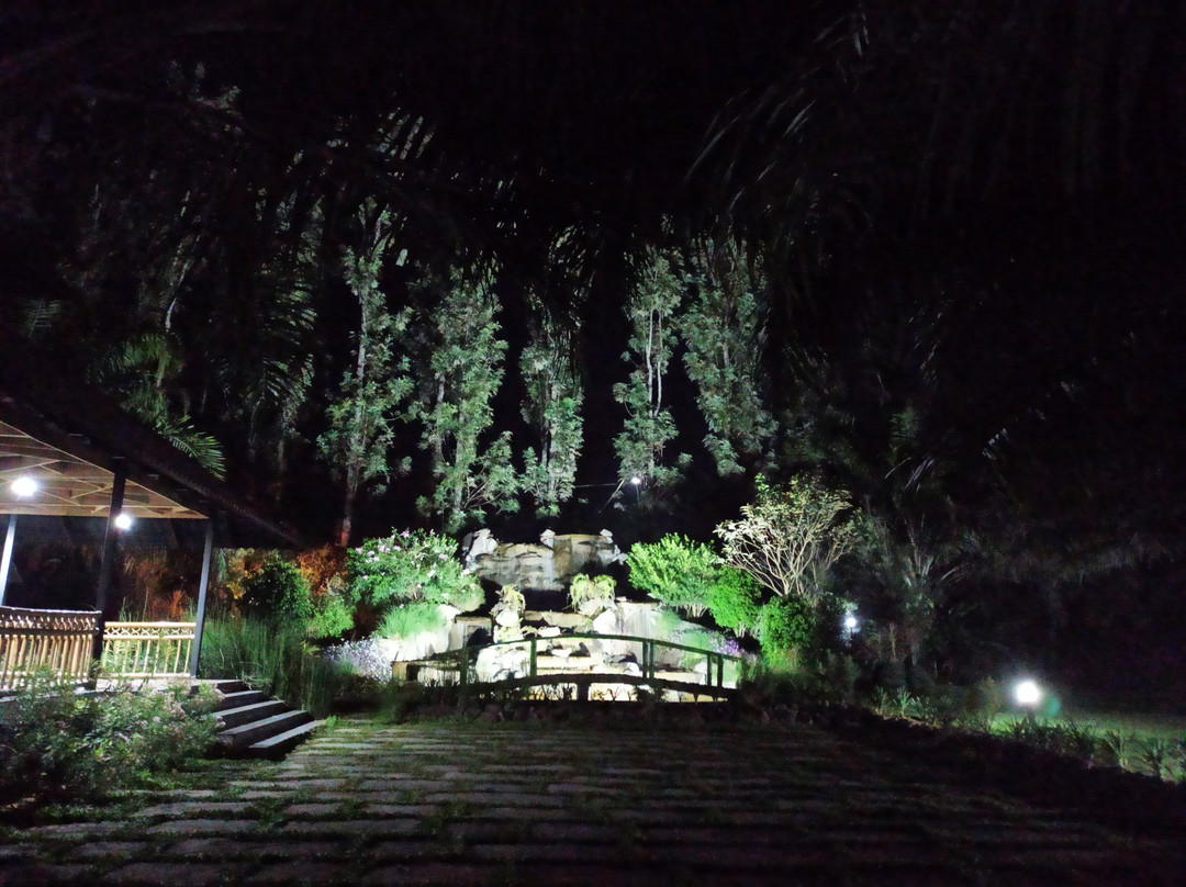 Palm Era Resorts主图
