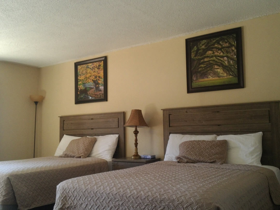 TimberLodge Inn主图