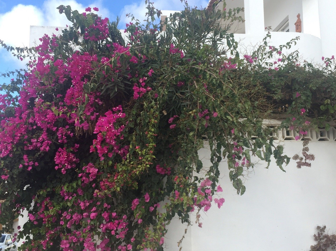 Praia Do Burgau 酒店主图