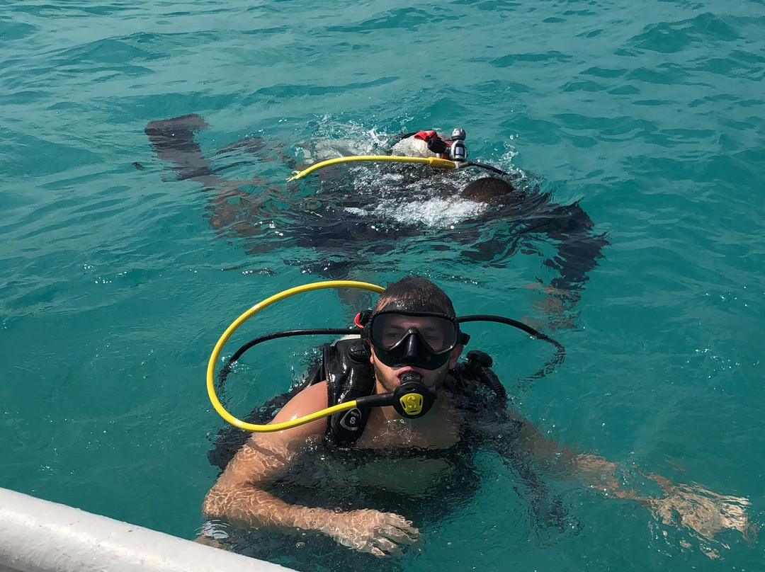Centro De Buceo Narval景点图片