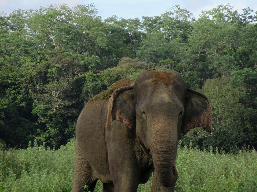 Lanka Golf Villa Collection - Villa Gelian主图