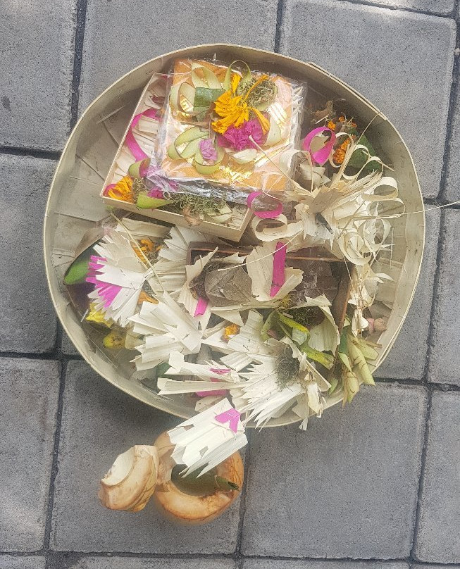 曼吉斯纱丽旅馆