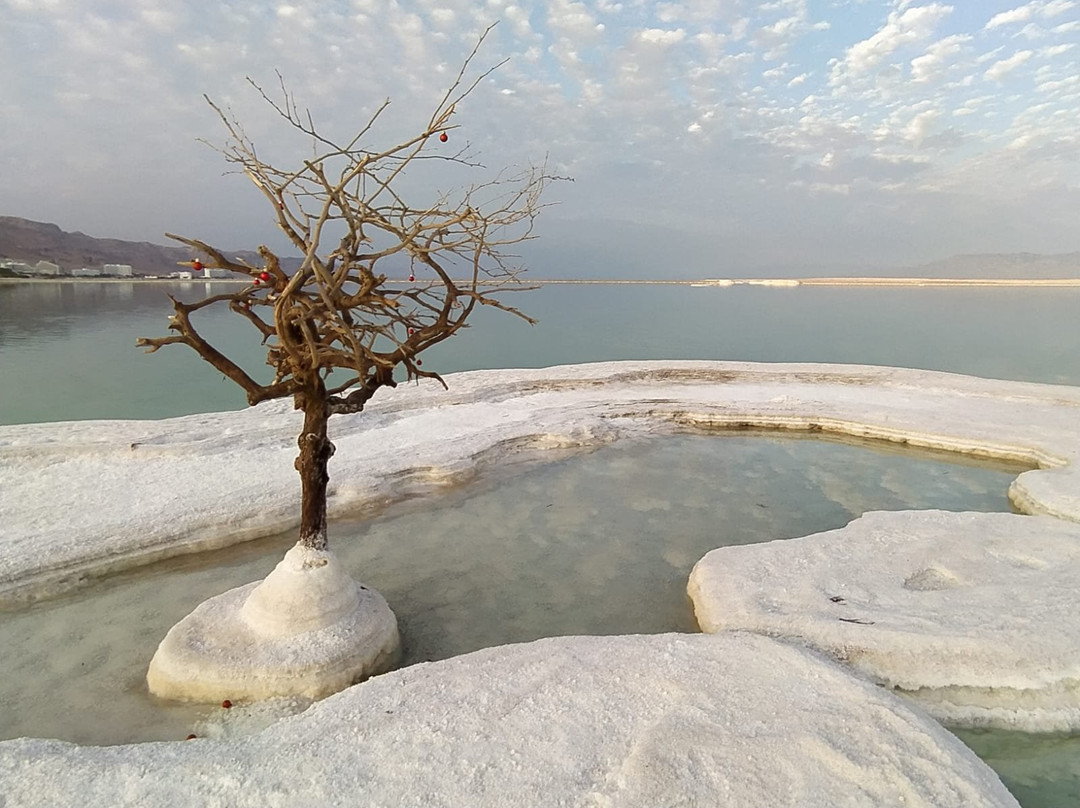 Shashua Tours-耶路撒冷必去景点