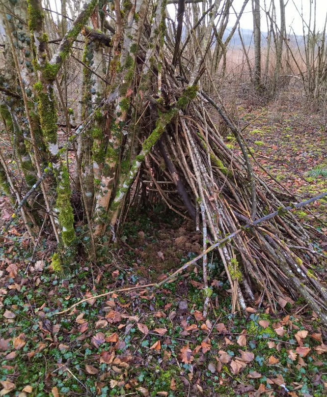 Mare de Craquenot - Espace Naturel Sensible-Charette必去景点